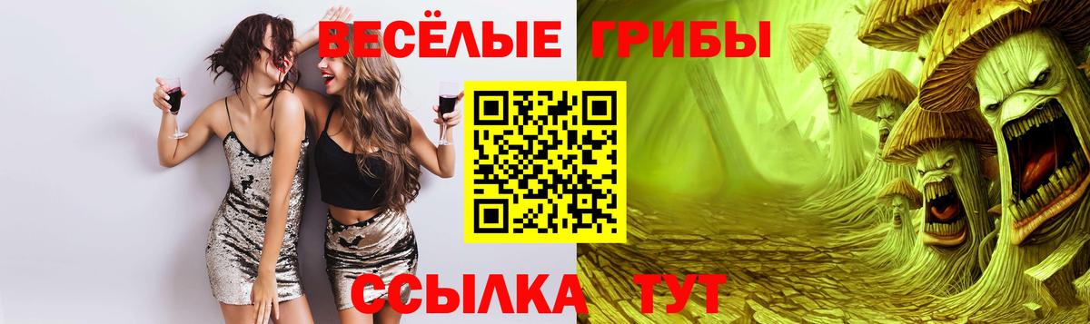 Галлюциногенные грибы GOLDEN TEACHER Кизилюрт
